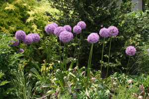 Cover photo for Tips for October