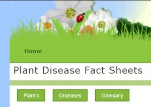 Cover photo for Plant Disease Factsheets