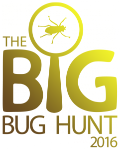 The Big Bug Hunt 2016 logo