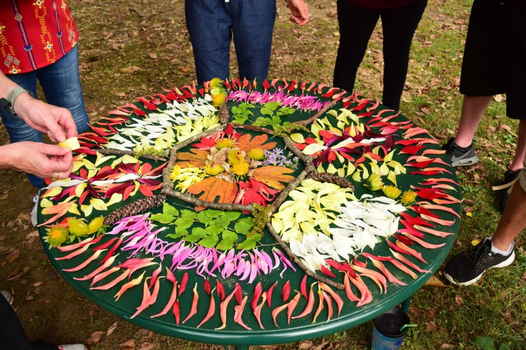 Mandala made of flowers and natural materials