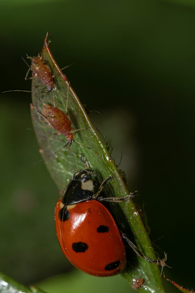 Photo by Akbar Nemati/Unsplash