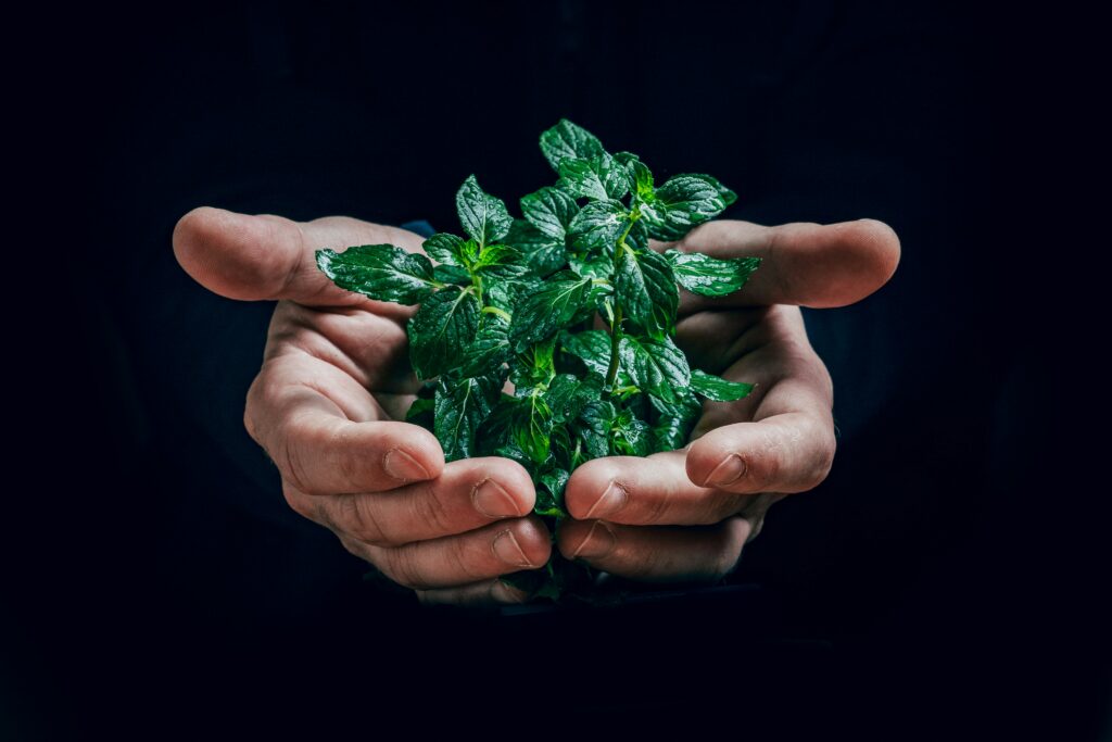 Photo by Jan Kopriva/Unsplash